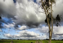 2024欧洲杯8强赛程如何安排？各队对决有哪些看点？