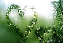 曼联迎足总杯决赛重大利好？这些关键因素让红魔争冠底气更足？