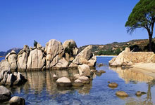 如何实现电视频道直播在线观看？有哪些实用的方式和注意要点？